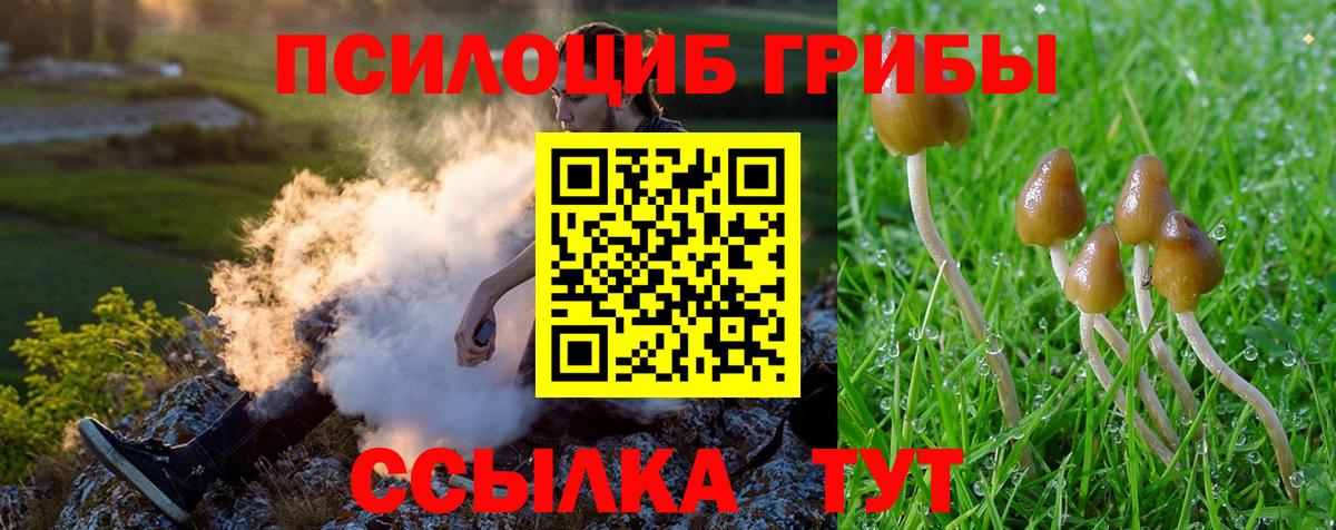 Галлюциногенные грибы ЛСД  Галлюциногенные грибы Psilocybine cubensis  Вход с VPN  Лысьва 